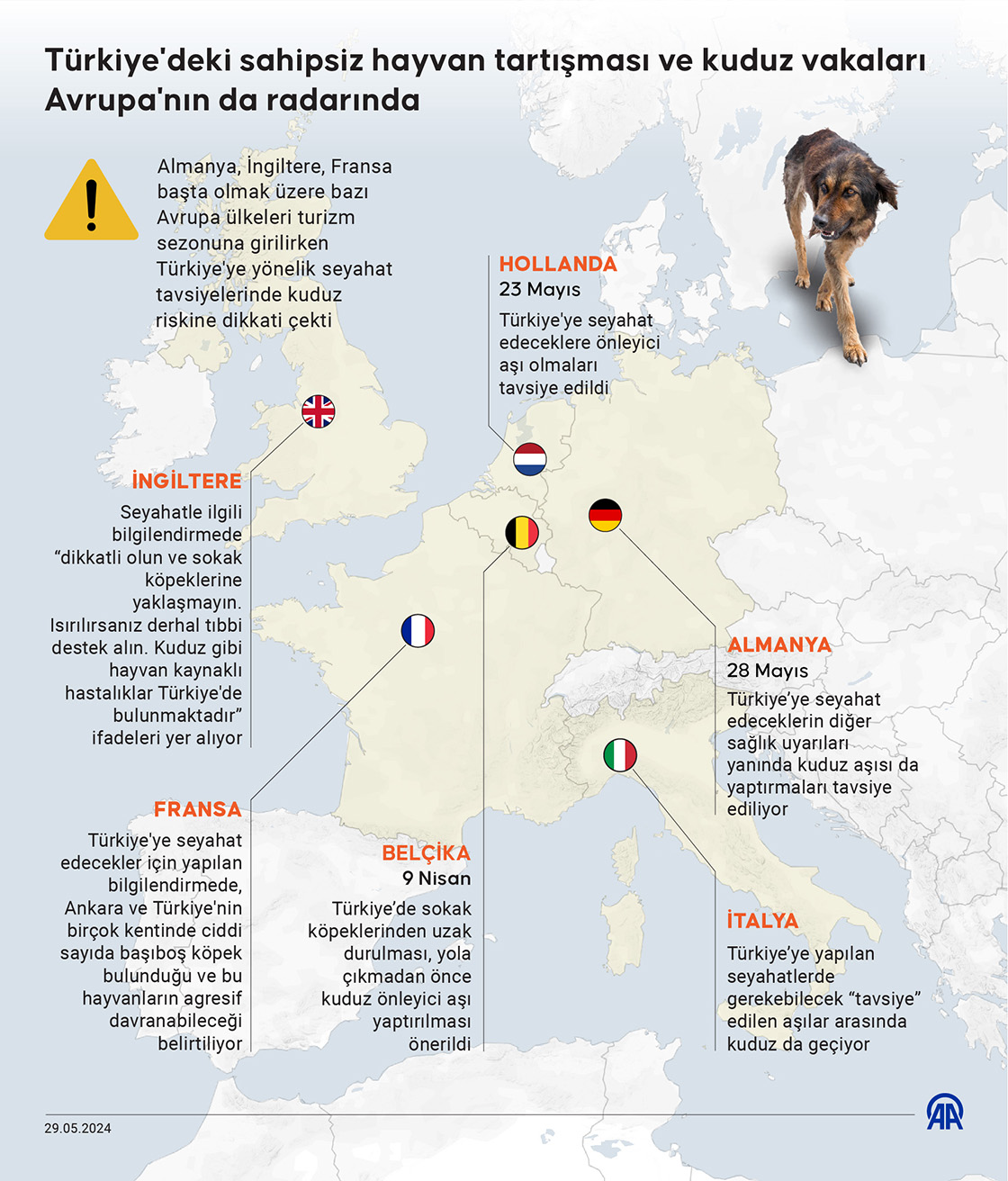 Türkiye'deki sahipsiz hayvan tartışması ve kuduz vakaları Avrupa'nın da radarında