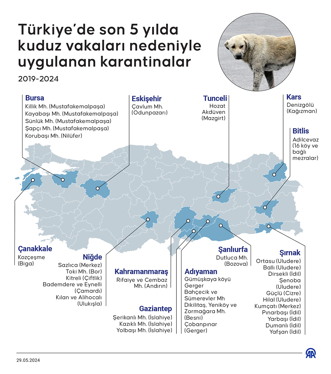Türkiye’de meydana gelen kuduz vakaları ve karantinalar