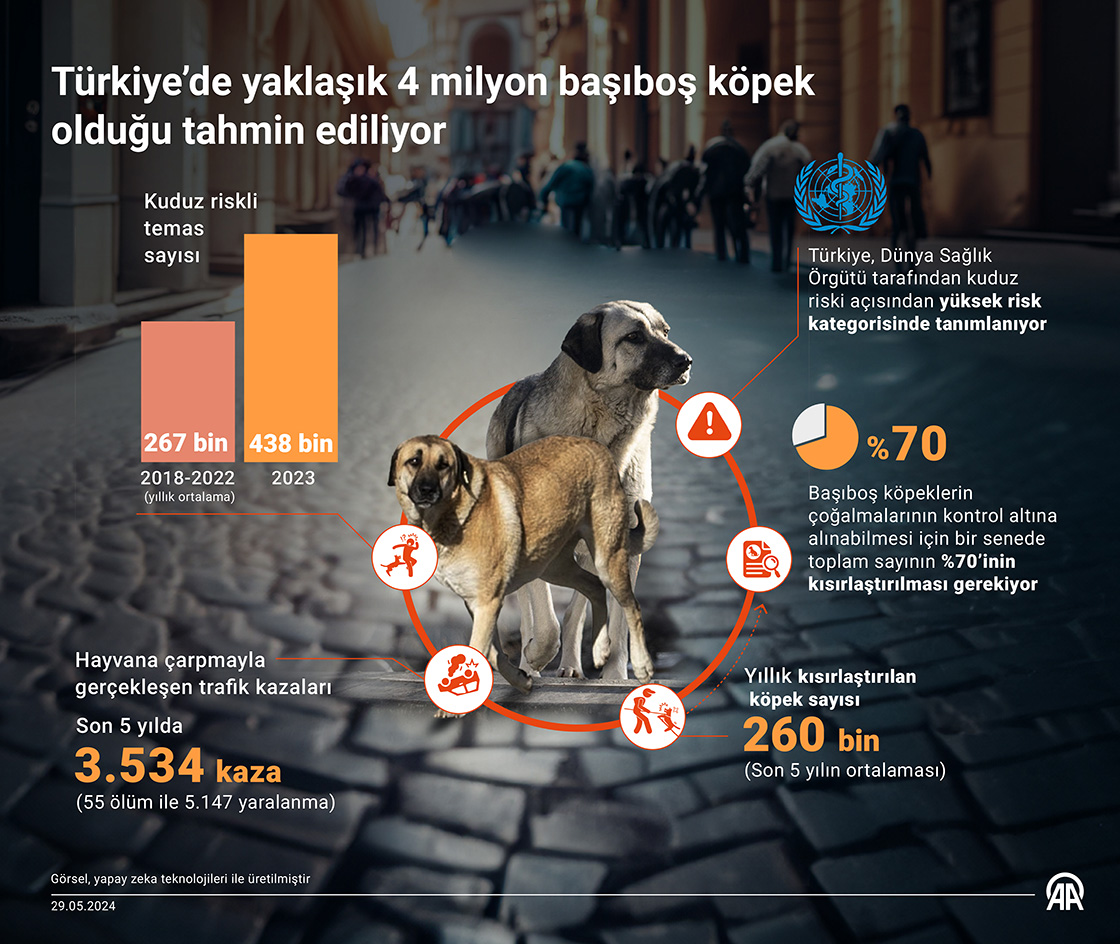 Türkiye’de yaklaşık 4 milyon başıboş köpek olduğu tahmin ediliyor