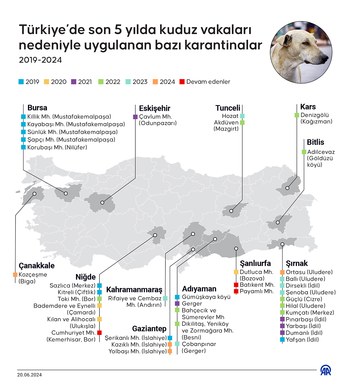 Türkiye’de son 5 yılda kuduz vakaları nedeniyle uygulanan bazı karantinalar