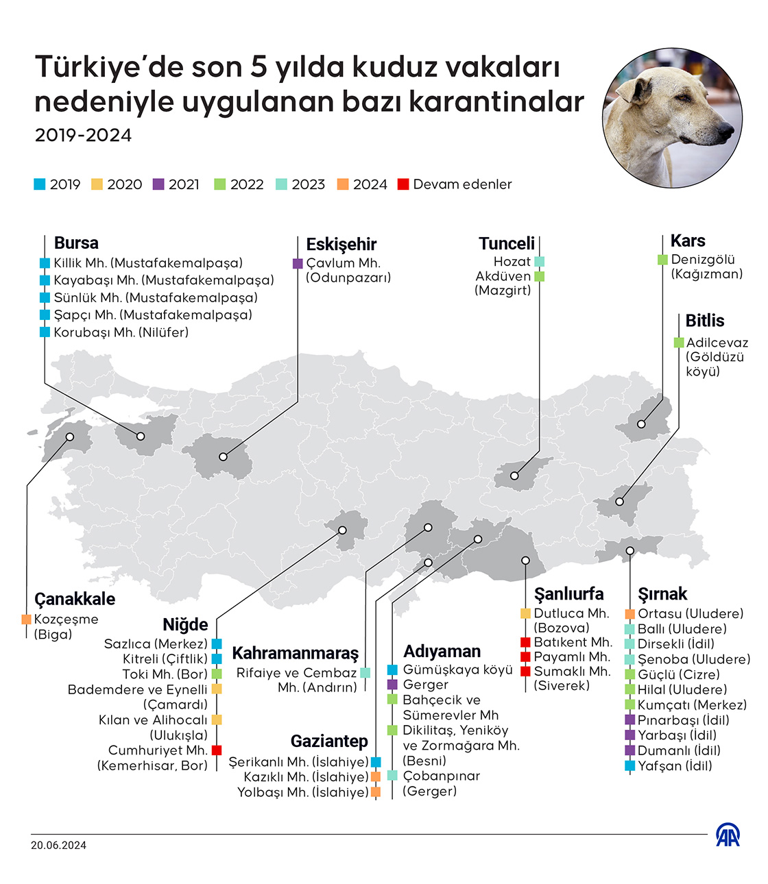 Türkiye’de son 5 yılda kuduz vakaları nedeniyle uygulanan bazı karantinalar