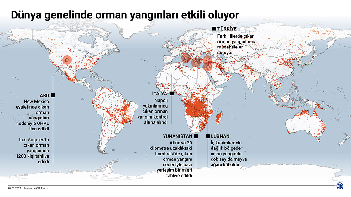 Dünya genelinde orman yangınları etkili oluyor