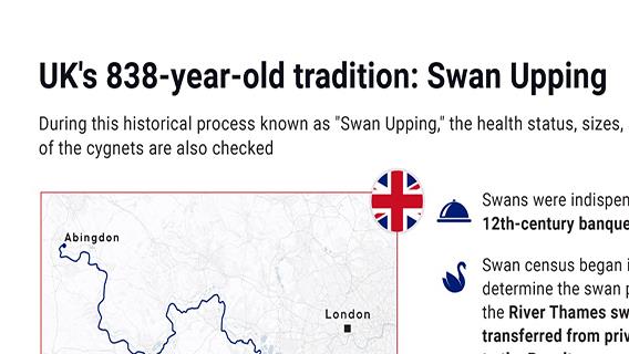 UK’s 838-year-old tradition: Swan Upping