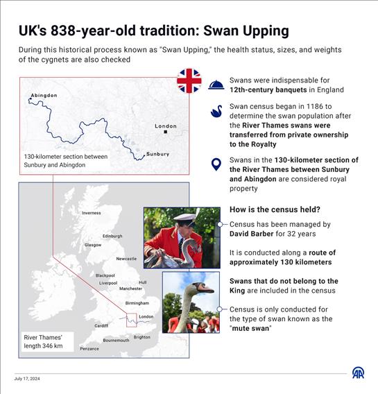 UK’s 838-year-old tradition: Swan Upping