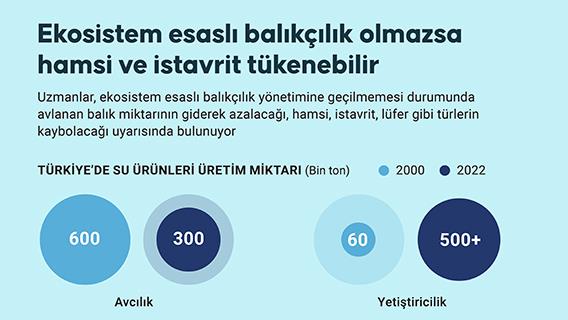 Ekosistem esaslı balıkçılık olmazsa hamsi ve istavrit de olmayabilir