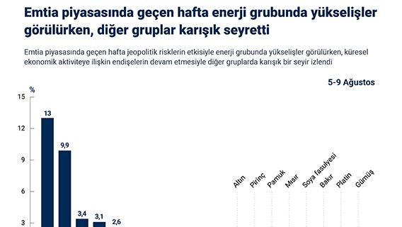 Emtia piyasasında geçen hafta enerji grubunda yükselişler görülürken, diğer gruplar karışık seyretti