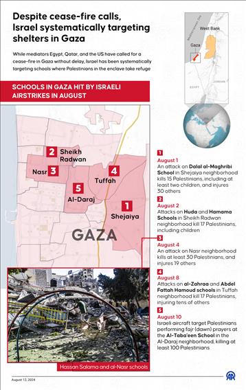 Despite cease-fire calls, Israel systematically targeting shelters in Gaza