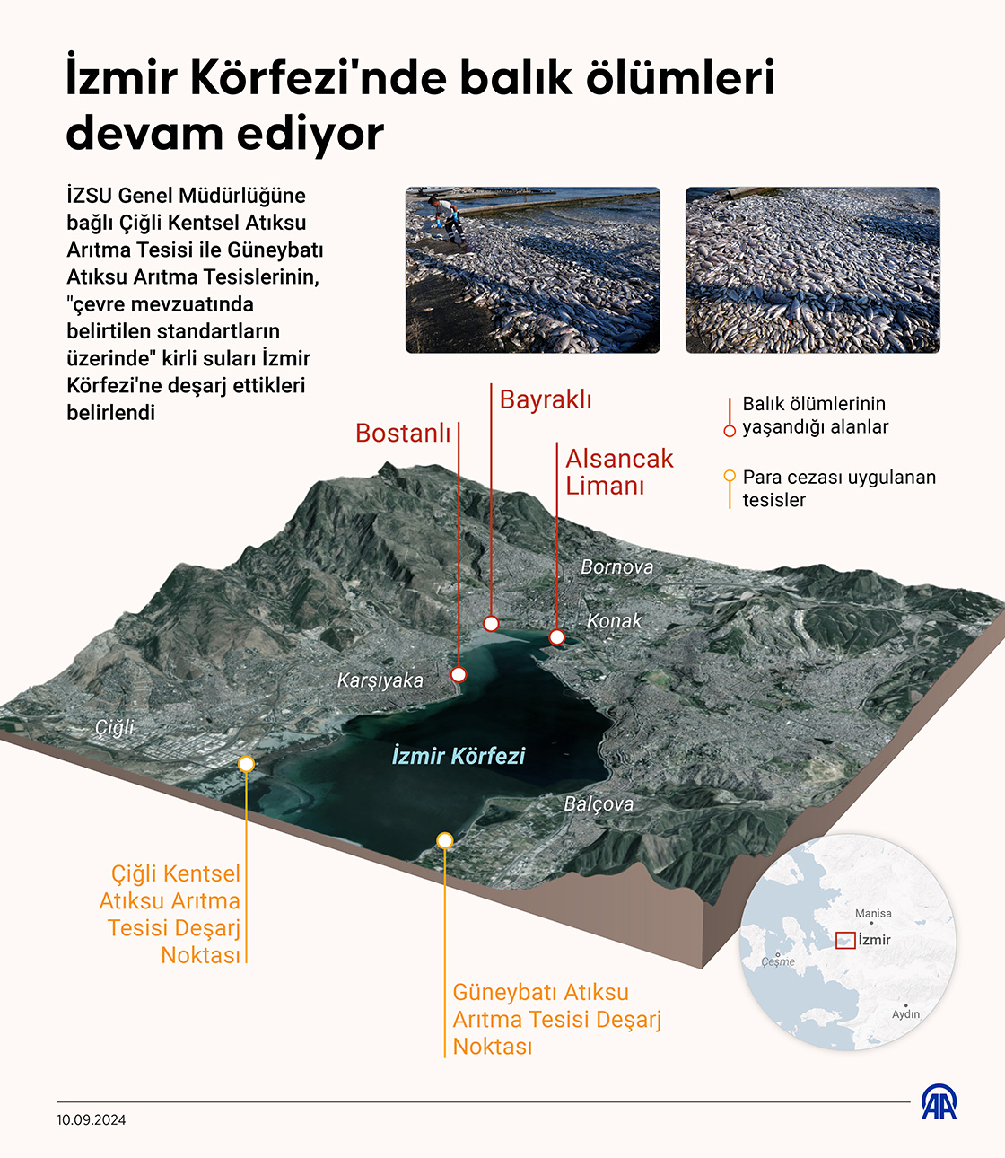 İzmir Körfezi'nde balık ölümleri devam ediyor