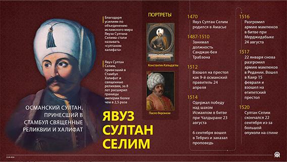 инфографика