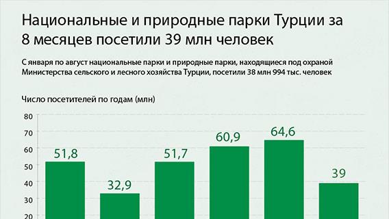 инфографика