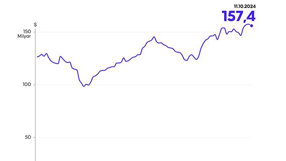 Merkez Bankası rezervleri 157,4 milyar dolar oldu