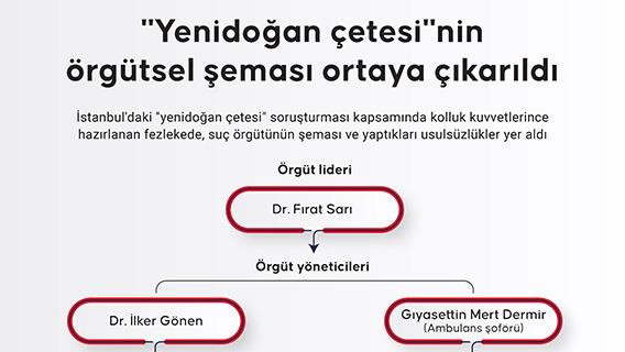 'Yenidoğan çetesi'nin örgütsel şeması ortaya çıkarıldı