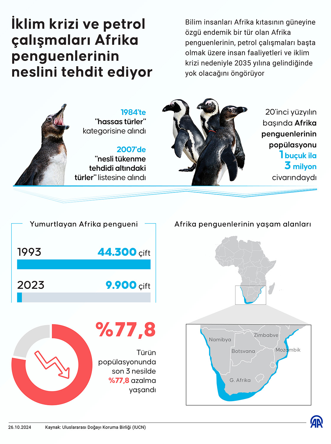 İklim krizi ve petrol çalışmaları Afrika penguenlerinin neslini tehdit ediyor