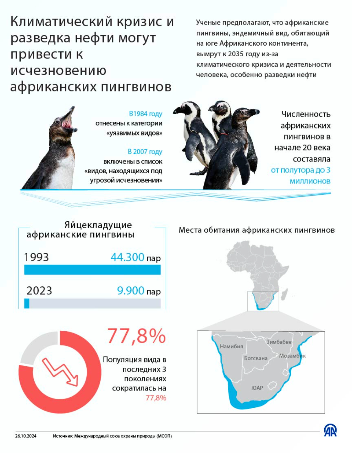 Климатический кризис и разведка нефти угрожают существованию африканских пингвинов