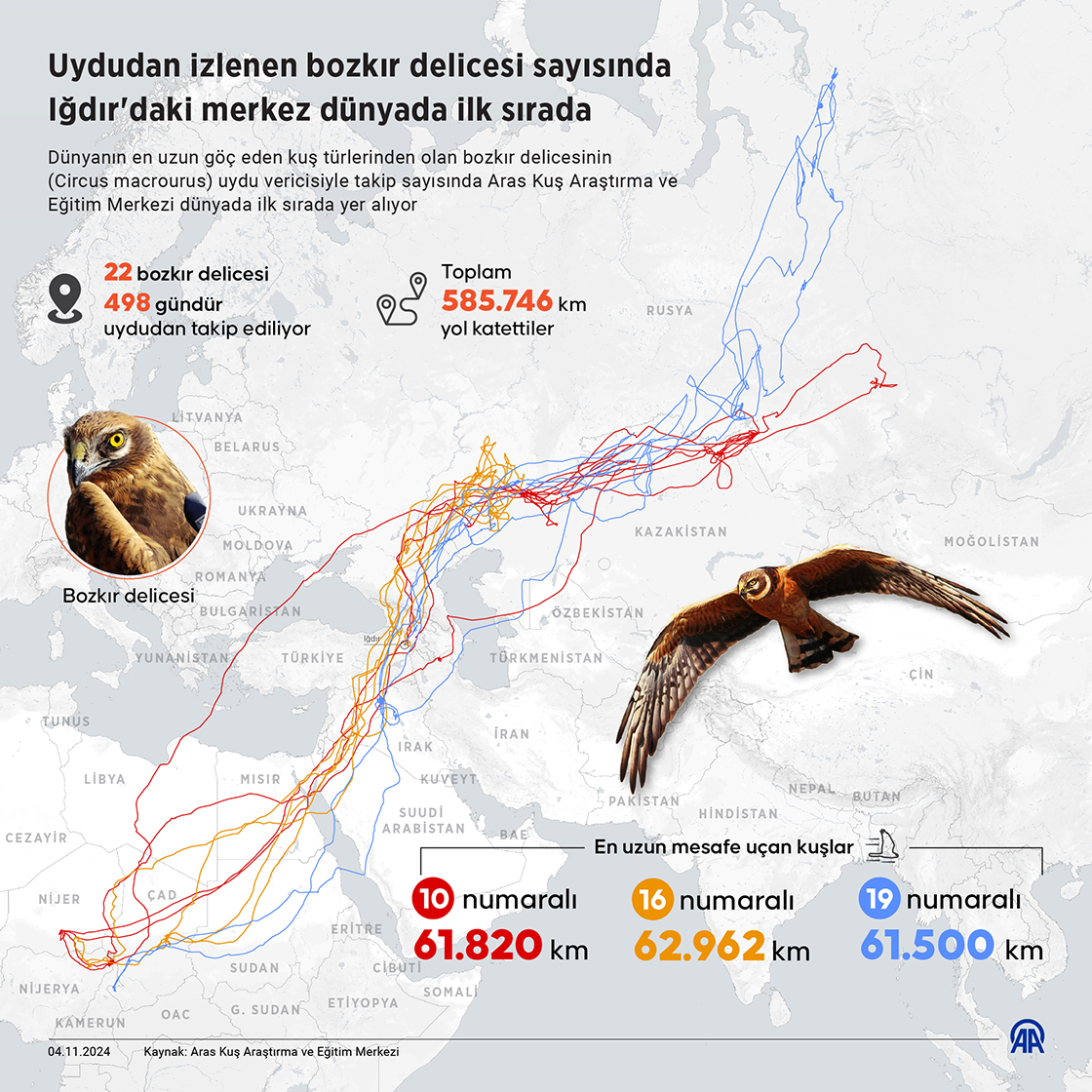  Uydudan izlenen bozkır delicesi sayısında Iğdır'daki merkez dünyada ilk sırada