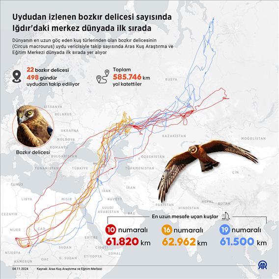  Uydudan izlenen bozkır delicesi sayısında Iğdır'daki merkez dünyada ilk sırada