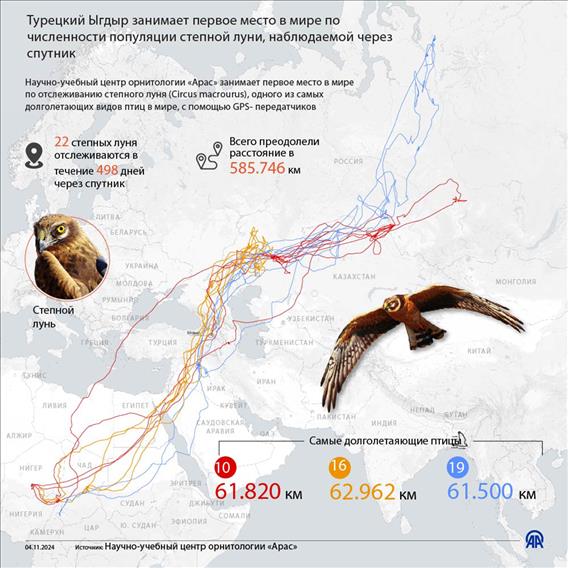 Турецкий Ыгдыр занимает первое место в мире по численности популяции степной луни, наблюдаемой через спутник