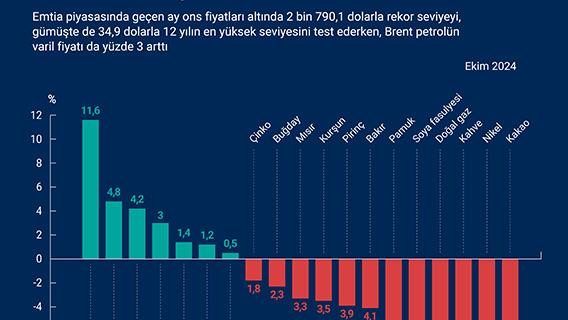 İnfografik