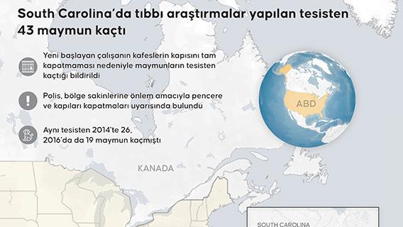 ABD'de tıbbı araştırmalar yapılan tesisten 43 maymun kaçtı