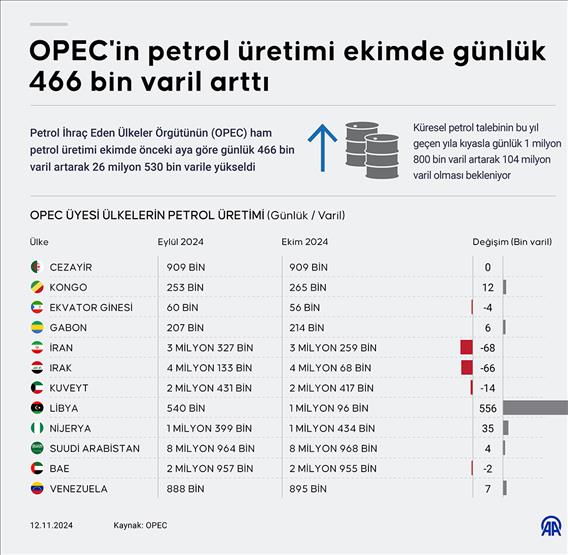 OPEC'in petrol üretimi ekimde günlük 466 bin varil arttı