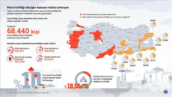 Hava kirliliği akciğer kanseri riskini artırıyor