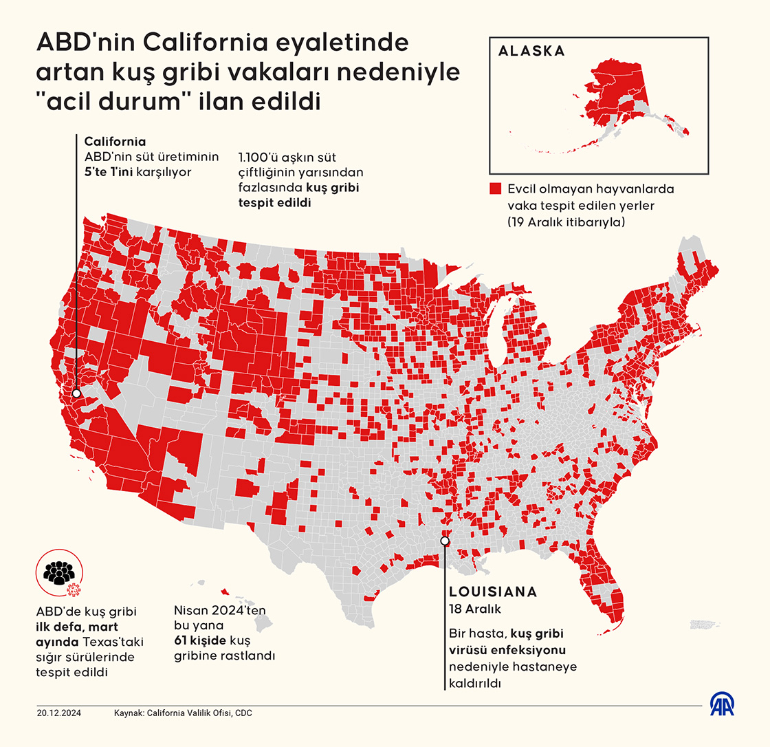 ABD'nin California eyaletinde artan kuş gribi vakaları nedeniyle 'acil durum' ilan edildi