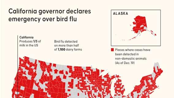 California governor declares emergency over bird flu