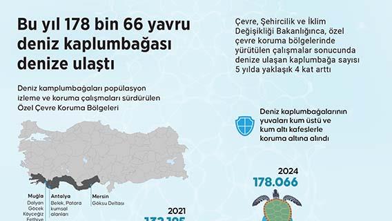 Bu yıl 178 bin 66 yavru deniz kaplumbağası denize ulaştı