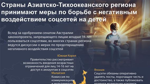 инфографика