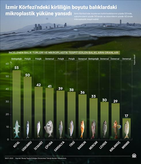  İzmir Körfezi'ndeki kirliliğin boyutu balıklardaki mikroplastik yüküne yansıdı