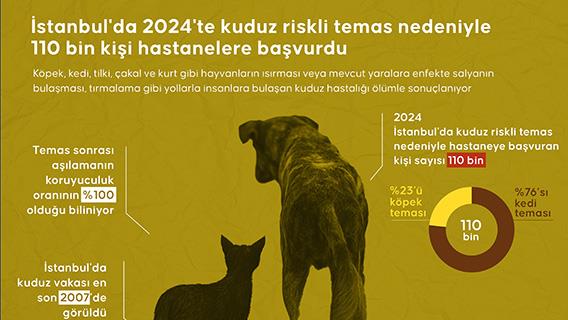 İstanbul'da 2024'te kuduz riskli temas nedeniyle 110 bin kişi hastanelere başvurdu