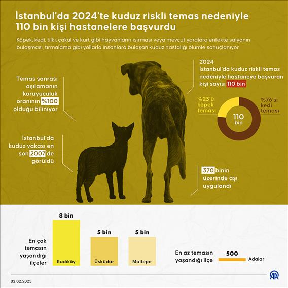 İstanbul'da 2024'te kuduz riskli temas nedeniyle 110 bin kişi hastanelere başvurdu