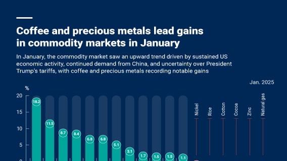 Coffee and precious metals lead gains in commodity markets in January