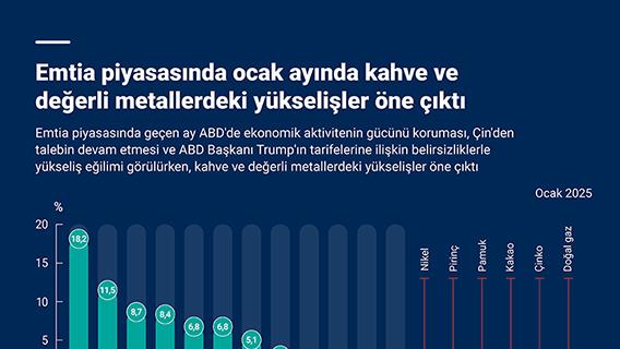 Emtia piyasasında ocak ayında kahve ve değerli metallerdeki yükselişler öne çıktı