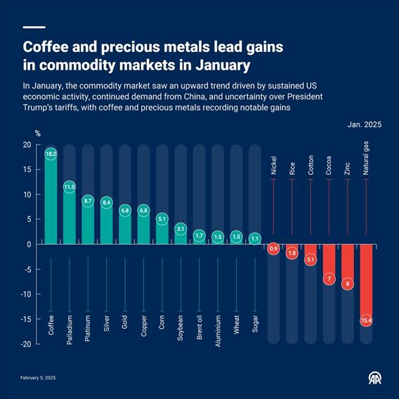 Coffee and precious metals lead gains in commodity markets in January