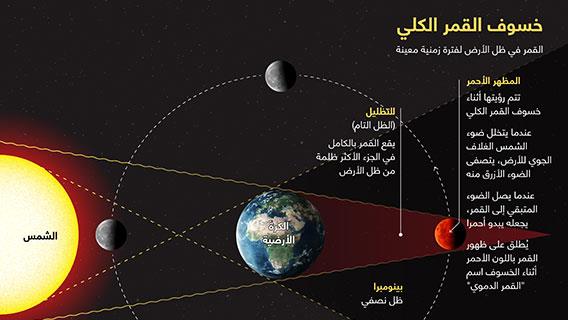 إنفوجرافيك