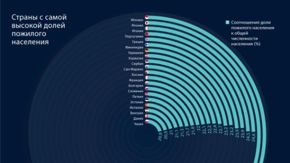 инфографика