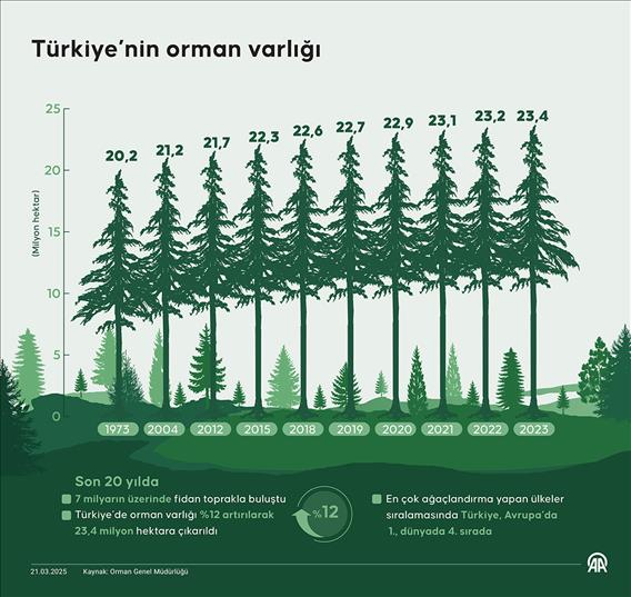 Türkiye’nin orman varlığı