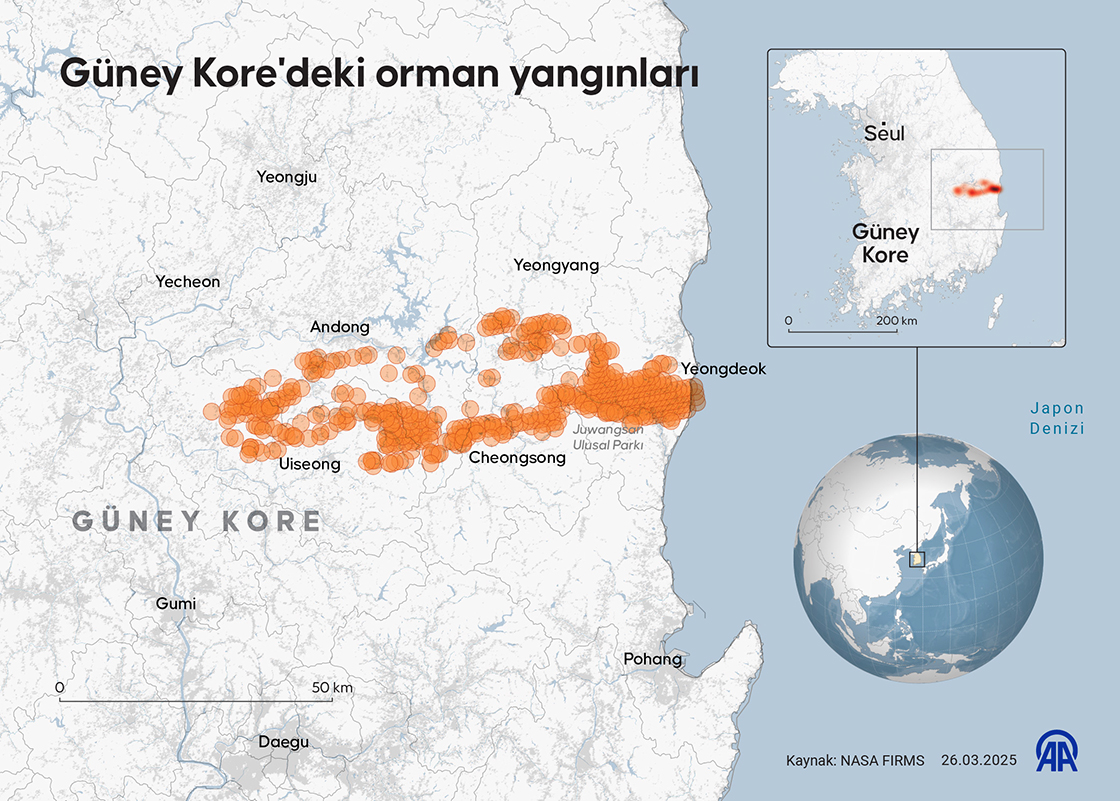 Güney Kore'deki orman yangınları
