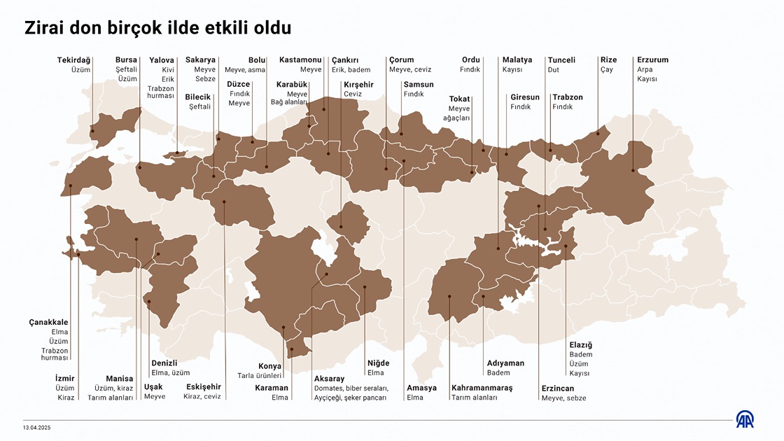 Zirai don birçok ilde etkili oldu