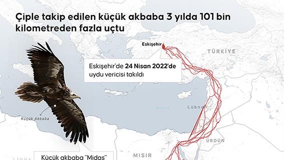 İnfografik
