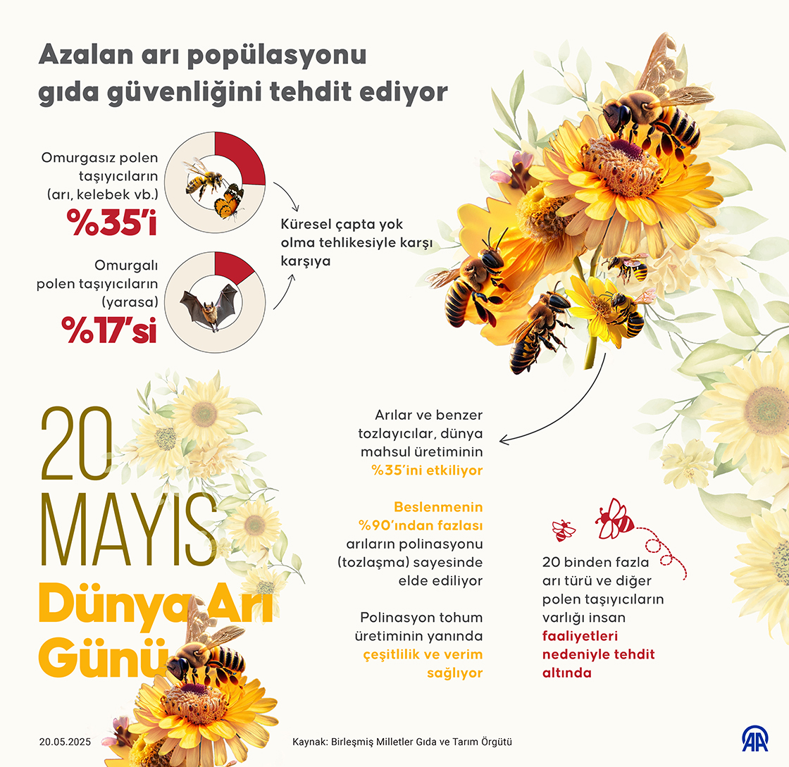Azalan arı popülasyonu gıda güvenliğini tehdit ediyor