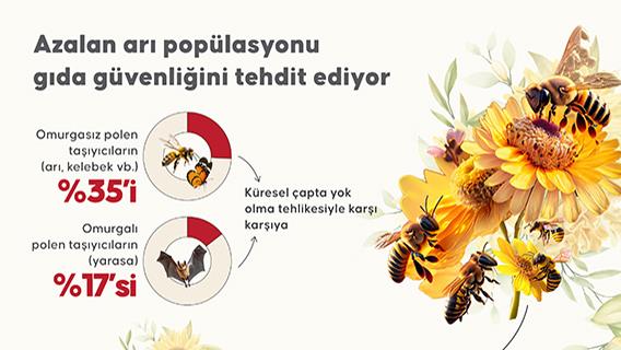 Azalan arı popülasyonu gıda güvenliğini tehdit ediyor