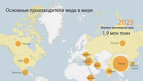 Турция входит в ТОП-3 основных производителей меда в мире