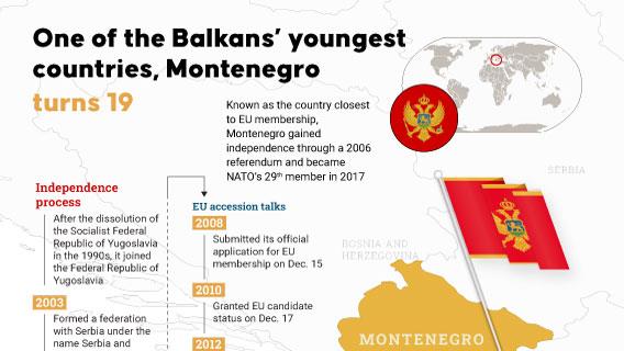 Infographic