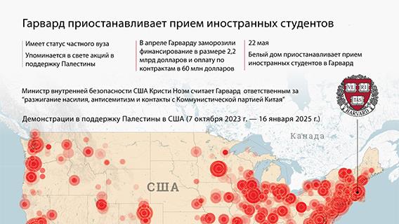 инфографика