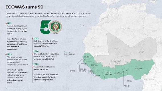Infographic