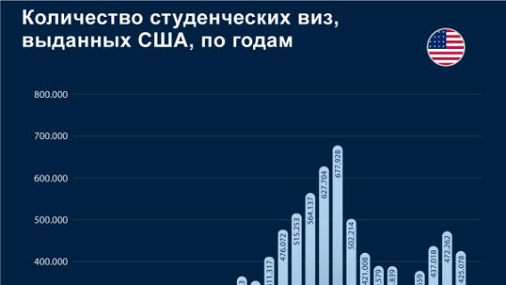инфографика
