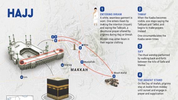Infographic