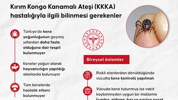 İnfografik